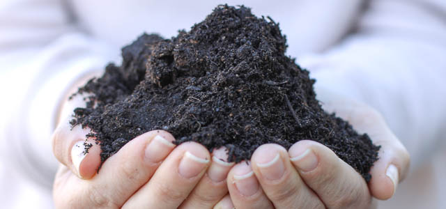 Zwei Hände halten Erde (Foto: Humus und Erden Kontor GmbH)